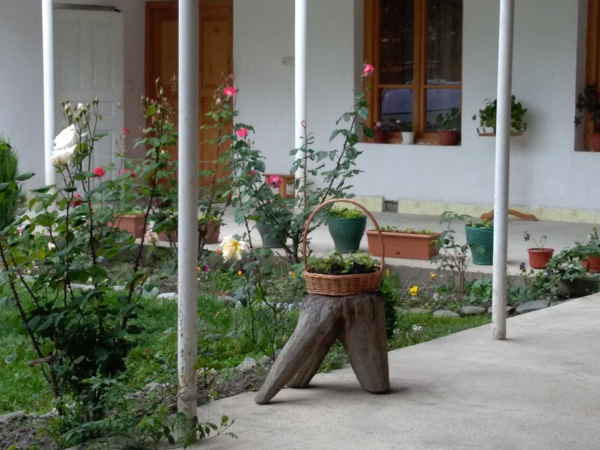 Guest House Anisa Birkiani ภายนอก รูปภาพ